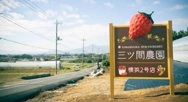 【神奈川県横浜市】三ツ間農園 横浜髙島屋店に「シャリっといちご削りソフト」など新メニュー3品が登場