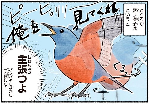 主張つよ （C）piro piro piccolo／KADOKAWA