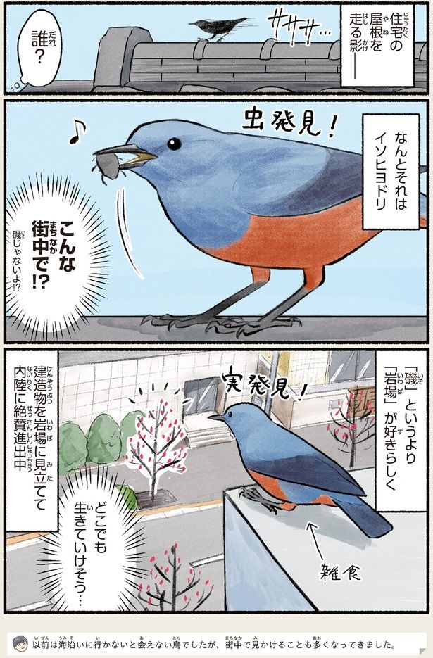 こんな街中で！？ （C）piro piro piccolo／KADOKAWA