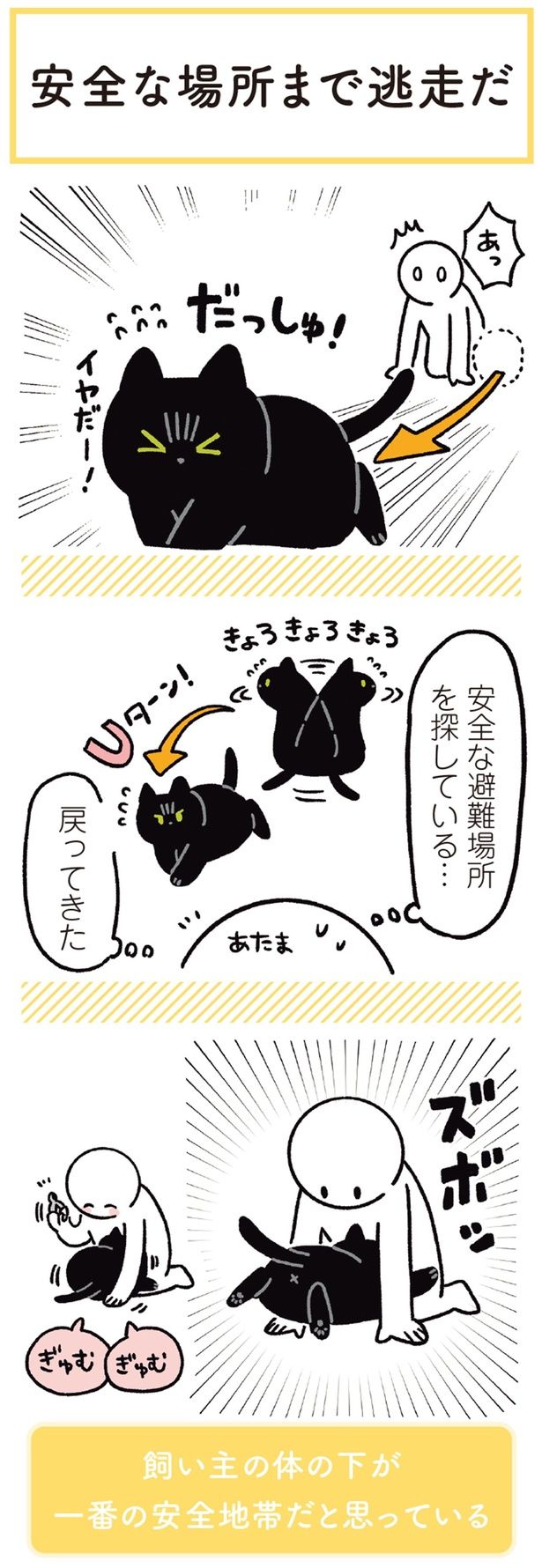 安全な避難場所を探している… （C）AKR／KADOKAWA