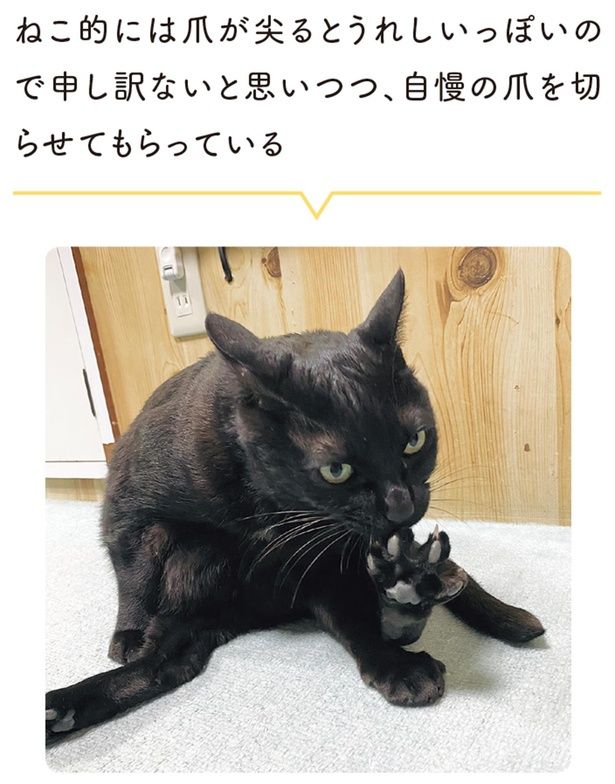 自慢の爪を切らせてもらっている （C）AKR／KADOKAWA