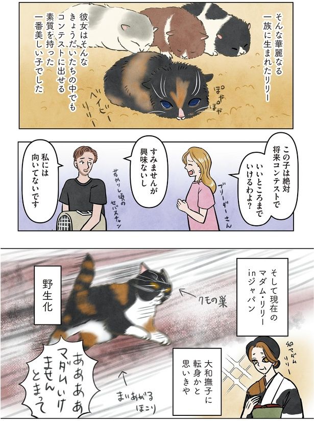 大和撫子に転身かと思いきや （C）かんさび／KADOKAWA