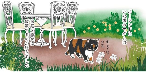 お庭を静かに散策するのが好きでした （C）かんさび／KADOKAWA