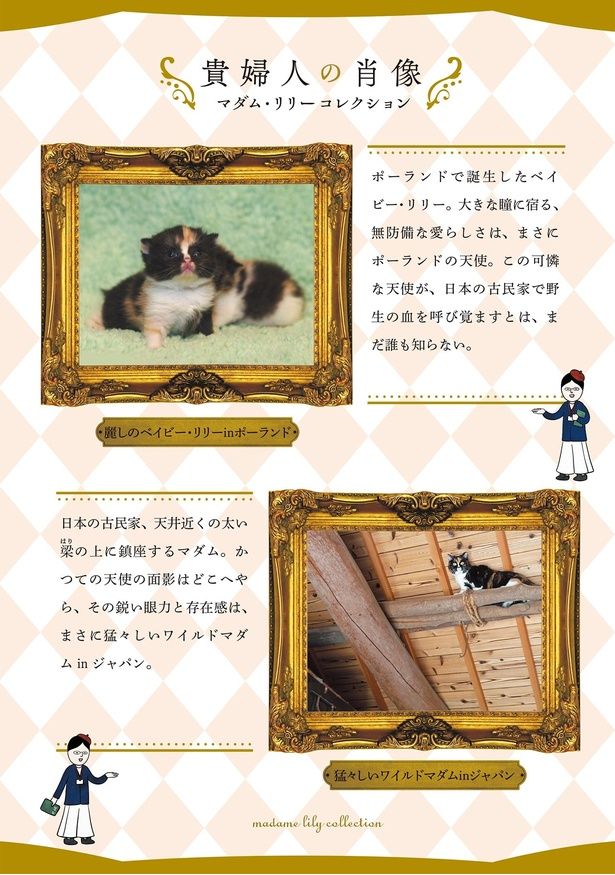貴婦人の肖像 （C）かんさび／KADOKAWA