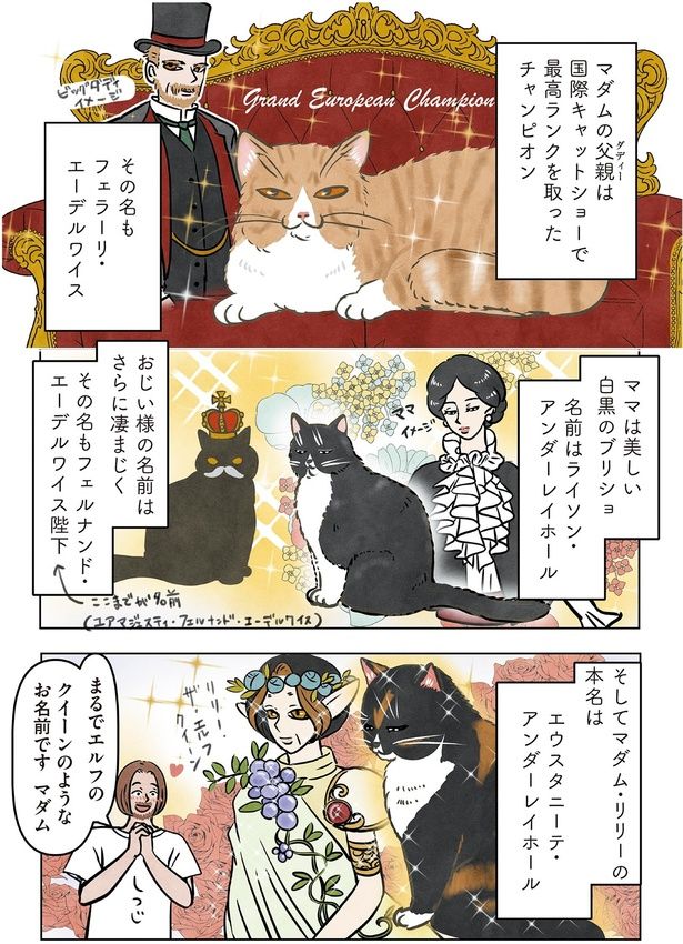 マダム・リリーの本名は （C）かんさび／KADOKAWA