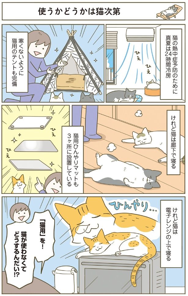 猫用を使わない猫って…！ （C）卵山玉子／KADOKAWA