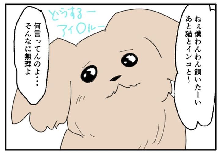 こどおじ義兄は家族ですか？／音坂ミミコ