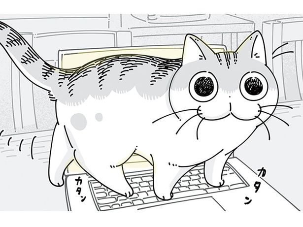 キーボードの上を歩いて… （C）キュルZ／KADOKAWA