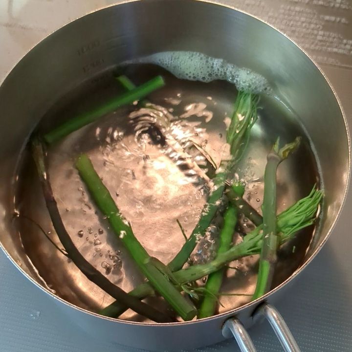 【山のアスパラ】シオデってご存知ですか？
