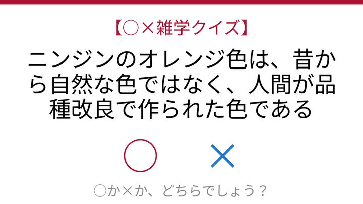 【○×雑学クイズ】これ本当？ニンジンの色の秘密の問題画像
