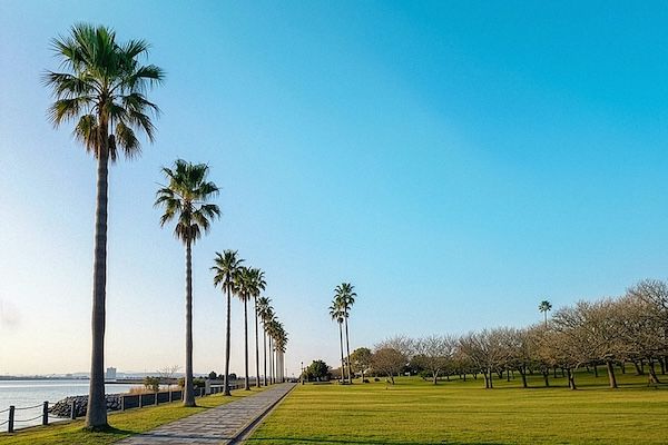 【長崎県大村市】⼤村湾を望む森園公園を舞台に⾳楽フェス「OMURA BAY BEAT 2026」が開催決定