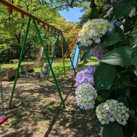 【福島県本宮市】「花と歴史の郷 蛇の鼻」で「スイレン祭り」開催中！「ROOTS－心のふるさと展－」も
