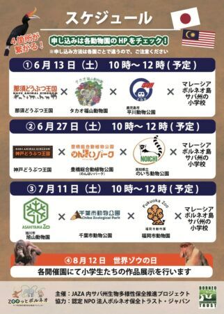 マレーシア＆日本の小学生が繋がり、ボルネオゾウの未来を考えるイベント開催！