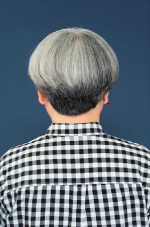 グレイヘア関 登美後ろ