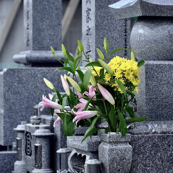 灰色の墓石が並ぶ墓地で、ピンクのユリと黄色い花が供えられている