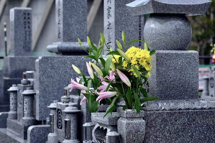 灰色の墓石が並ぶ墓地で、ピンクのユリと黄色い花が供えられている