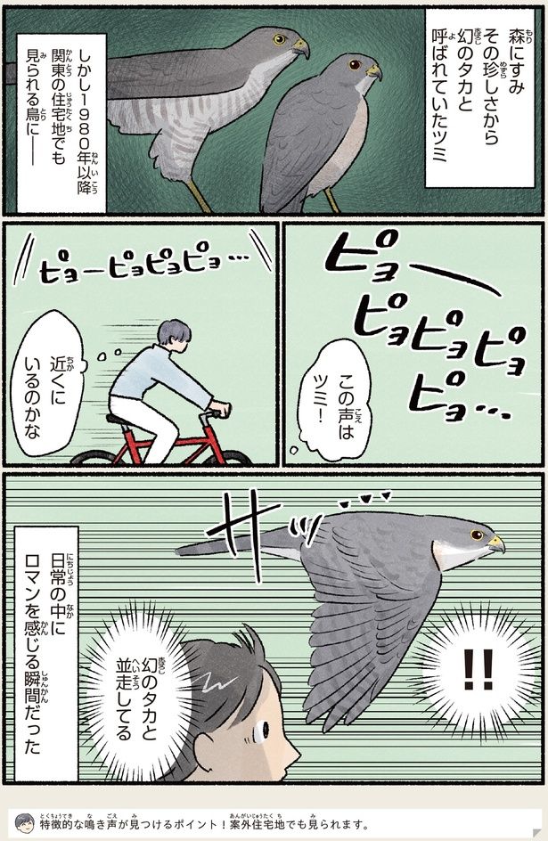 近くにいるのかな （C）piro piro piccolo／KADOKAWA