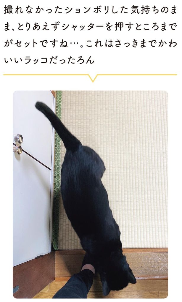 さっきまでかわいいラッコだったろん （C）AKR／KADOKAWA