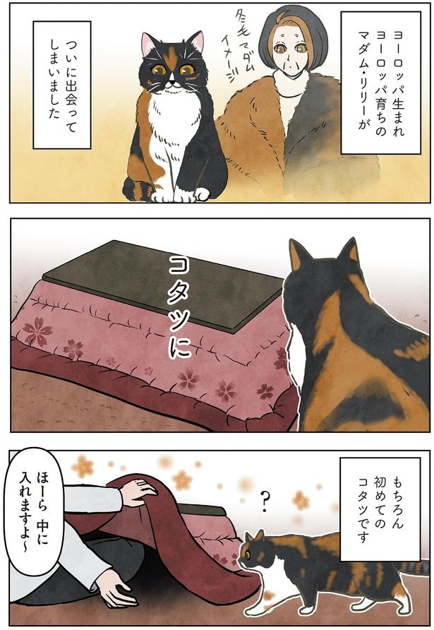 ついに出会ってしまいました （C）かんさび／KADOKAWA