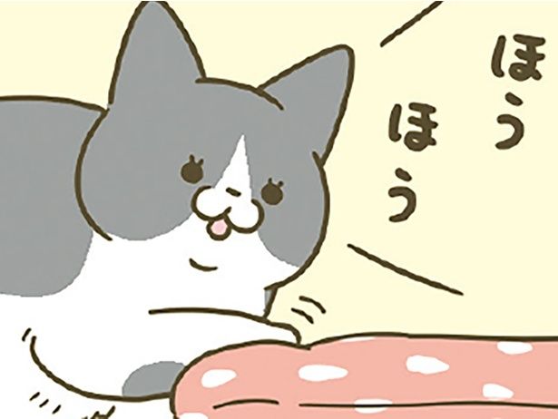 ほうほう （C）卵山玉子／KADOKAWA