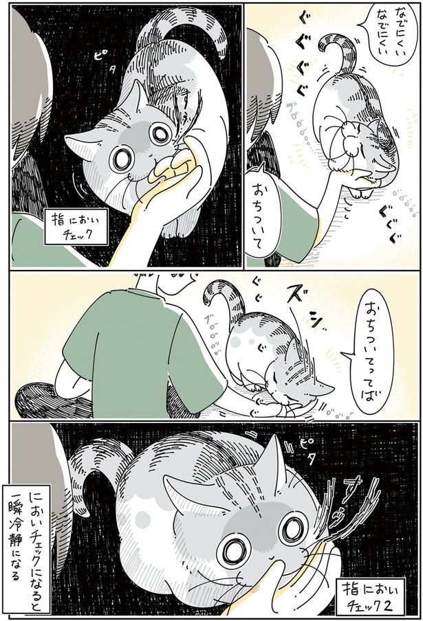 指においチェックの時は一瞬冷静に （C）キュルZ／KADOKAWA