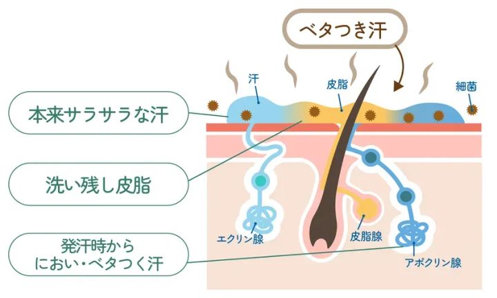「洗い残し皮脂」とお風呂上がりの「サラサラ汗」が合体し、ベタ