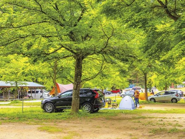 AC電源のあるキャンプ場9選【神奈川県】