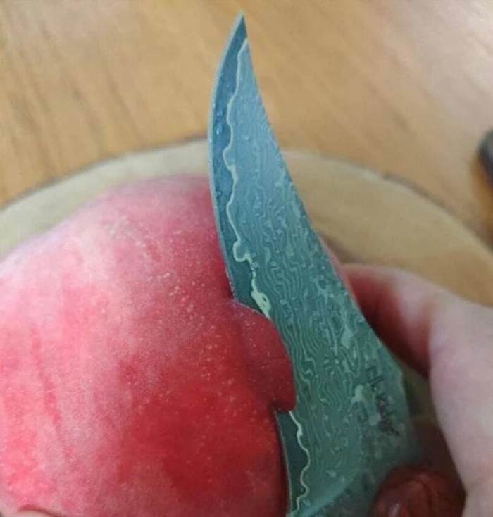 Elk Ridge Damascus Ⅱ
