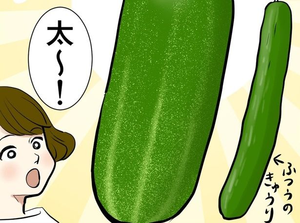 太～！ （C）峯鳥子