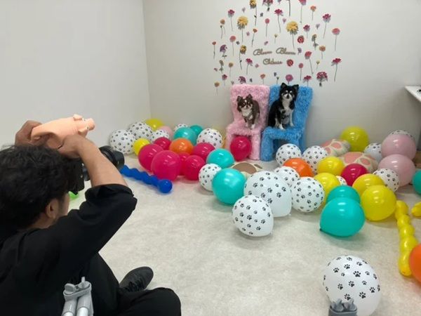 【愛知県名古屋市】通し診療行い、予防医療に注力する「ブンブン動物病院ちくさ」開院！内覧会は大盛況