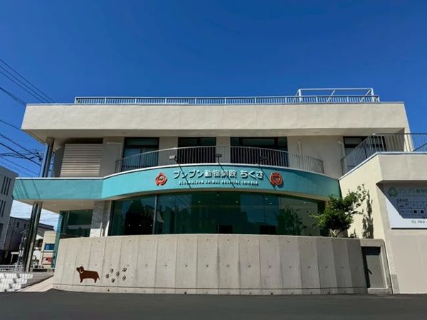 【愛知県名古屋市】通し診療行い、予防医療に注力する「ブンブン動物病院ちくさ」開院！内覧会は大盛況