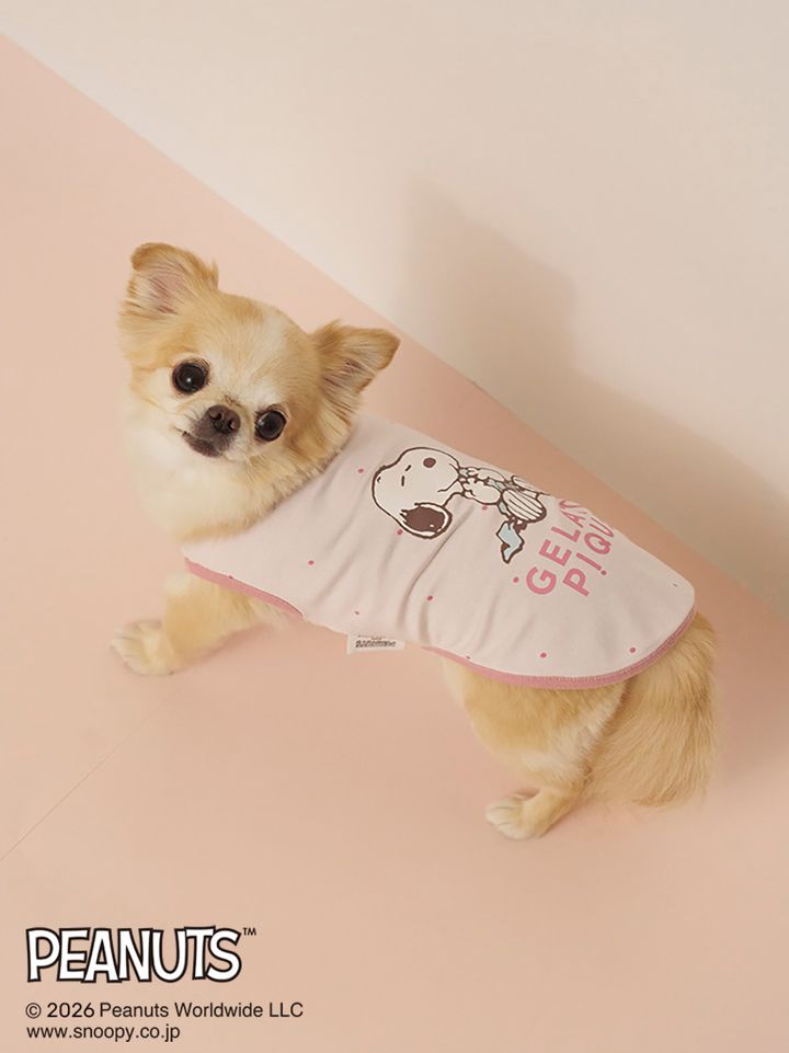 CAT ＆ DOG