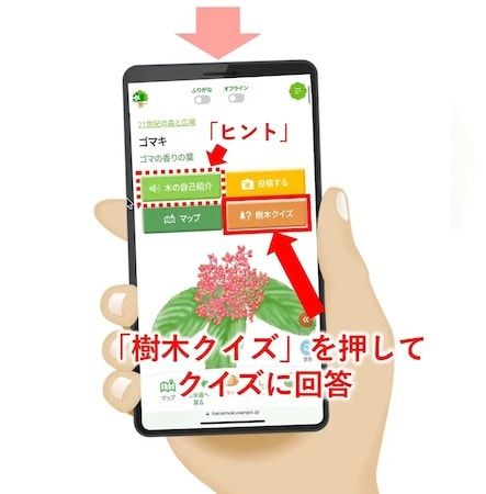 全国11公園で「夏のネイチャーハント」開催！スマホで木を探してクイズに解答