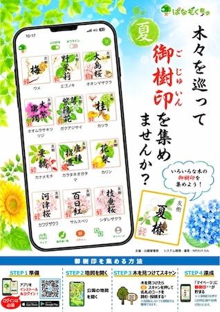 全国11公園で「夏のネイチャーハント」開催！スマホで木を探してクイズに解答