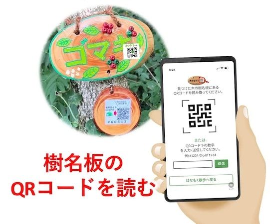 全国11公園で「夏のネイチャーハント」開催！スマホで木を探してクイズに解答