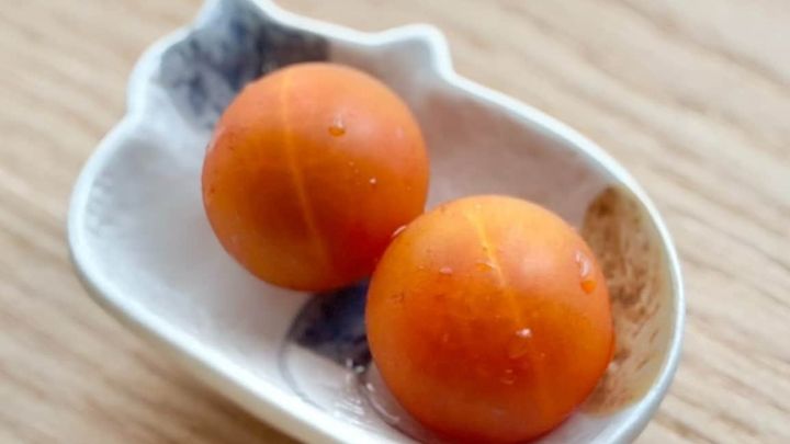 100均のお皿が可愛いって話題♡ グラタン皿から紙皿まで、今すぐ揃えたいおすすめ10選【ダイソー・セリア・キャンドゥ】