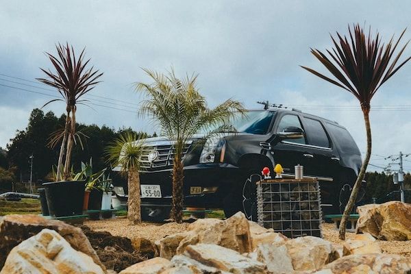 【広島県東広島市】新たな空間価値を提案する景観デザインブランド「Bloom in the Desert」実店舗がオープン