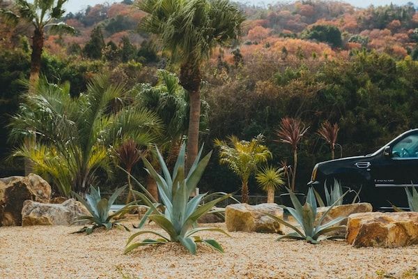 【広島県東広島市】新たな空間価値を提案する景観デザインブランド「Bloom in the Desert」実店舗がオープン