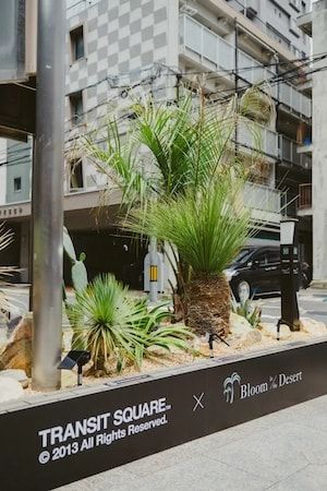 【広島県東広島市】新たな空間価値を提案する景観デザインブランド「Bloom in the Desert」実店舗がオープン