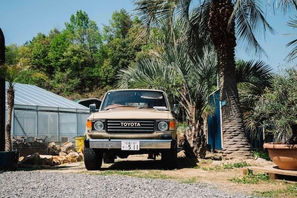 【広島県東広島市】新たな空間価値を提案する景観デザインブランド「Bloom in the Desert」実店舗がオープン