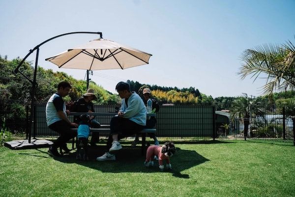 【広島県東広島市】新たな空間価値を提案する景観デザインブランド「Bloom in the Desert」実店舗がオープン