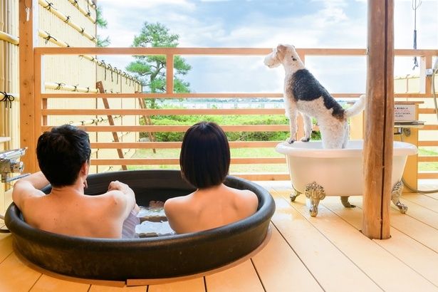 開放的な景色を眺めながら愛犬と同じ空間で温泉を堪能！ペット歓迎の宿ならではの充実した設備で、お互いにリフレッシュできるのがうれしい