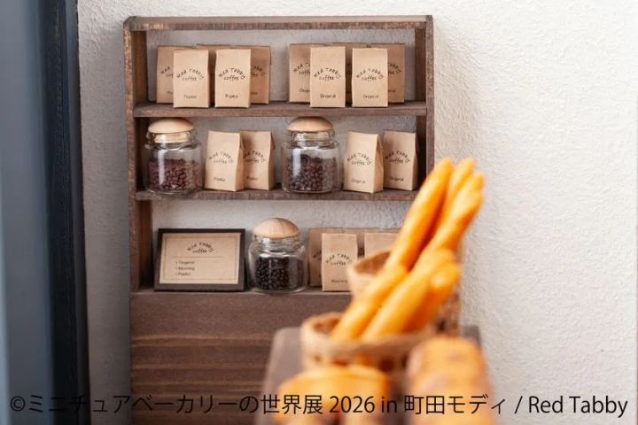 展示作品：Red Tabby
