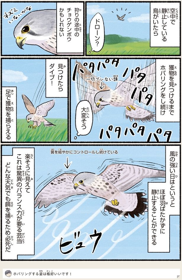 見つけたらダイブ！ （C）piro piro piccolo／KADOKAWA