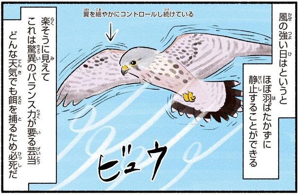 ほぼ羽ばたかずに静止することができる （C）piro piro piccolo／KADOKAWA