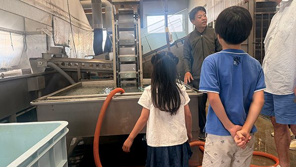 【兵庫県淡路市】淡路島・岩屋で一般立入禁止の競り場を巡るしらすツアー開催！２時間で自由研究を解決