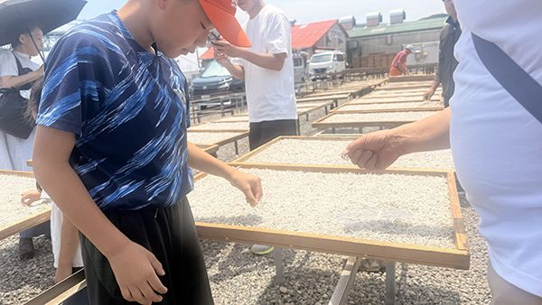 【兵庫県淡路市】淡路島・岩屋で一般立入禁止の競り場を巡るしらすツアー開催！２時間で自由研究を解決