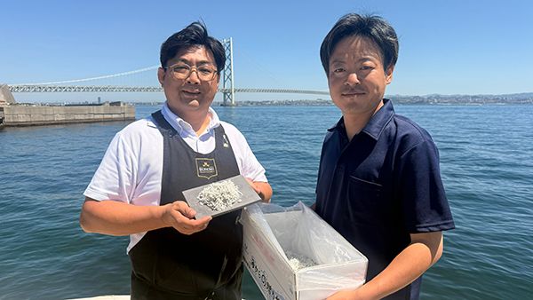 【兵庫県淡路市】淡路島・岩屋で一般立入禁止の競り場を巡るしらすツアー開催！２時間で自由研究を解決