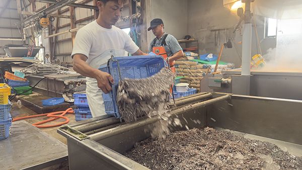 【兵庫県淡路市】淡路島・岩屋で一般立入禁止の競り場を巡るしらすツアー開催！２時間で自由研究を解決