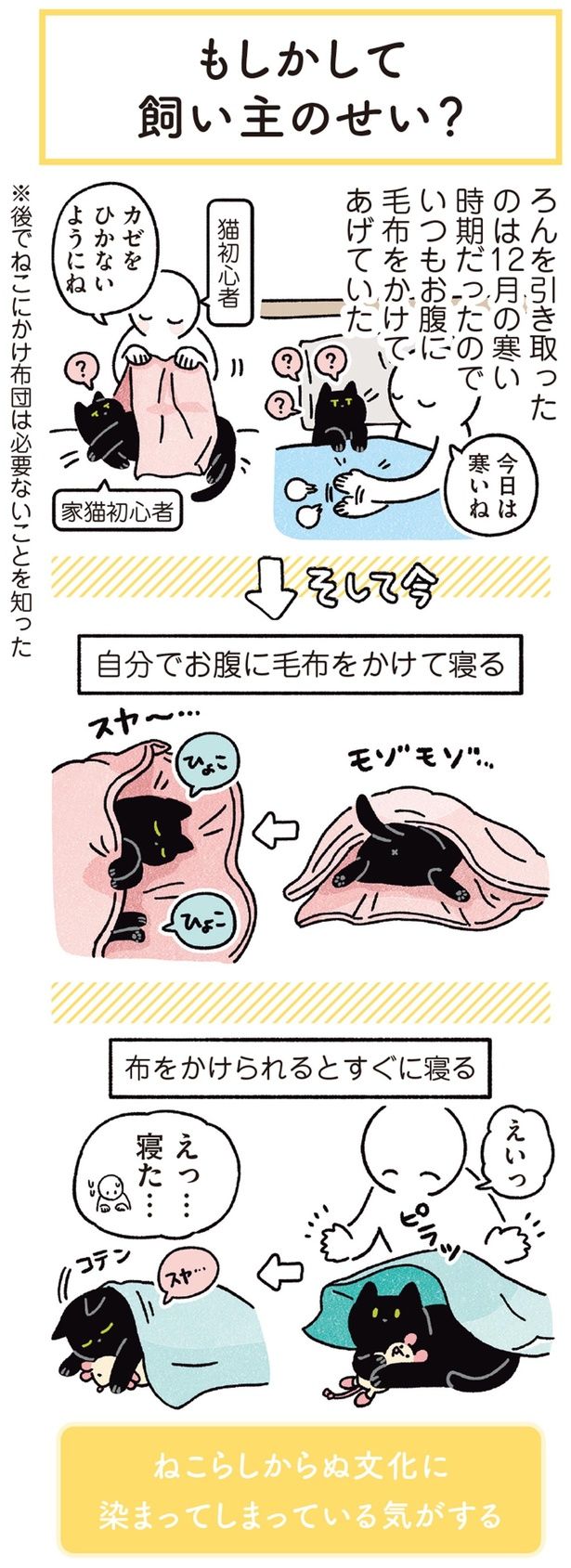 ねこらしからぬ文化に染まってしまっている気がする （C）AKR／KADOKAWA